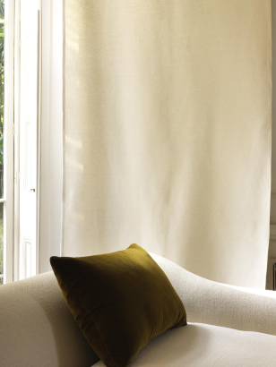 Silk in Silkworm