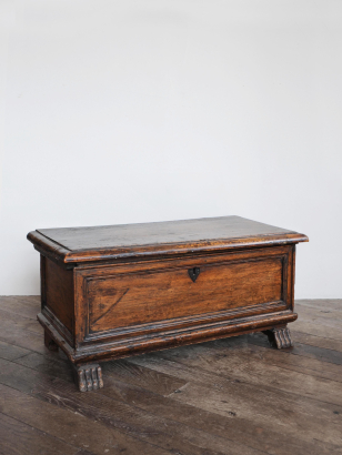 William IV Mahogany Travelling Trunk
