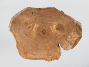 Quarter Sawn Coffee Table