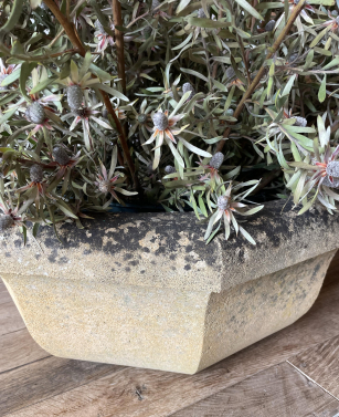 Pair of Cotswold Stone Octagonal Planters