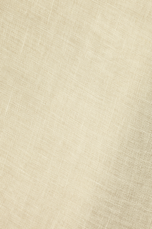 Sheer Linen in Ghost (Double Width)