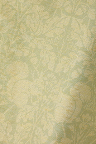 Sheer Linen in Forget-Me-Not Squirrel on Honey