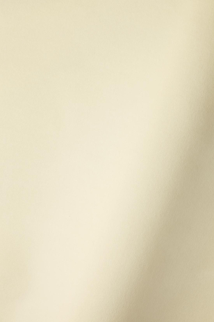 Heavy Weight Cotton Velvet in Moon