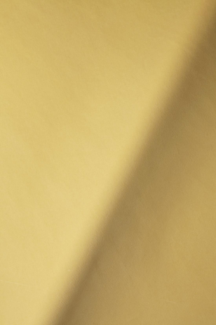 Cotton Velvet in Custard